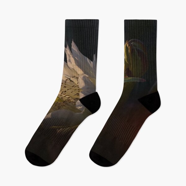 Item preview, The Beauty of Natural Light (1) designed and sold by Wolf Sverak Photography.