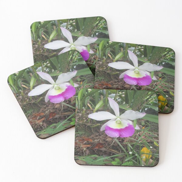 Item preview, Hawaii Flowers #2 designed and sold by LifExtroardinar.