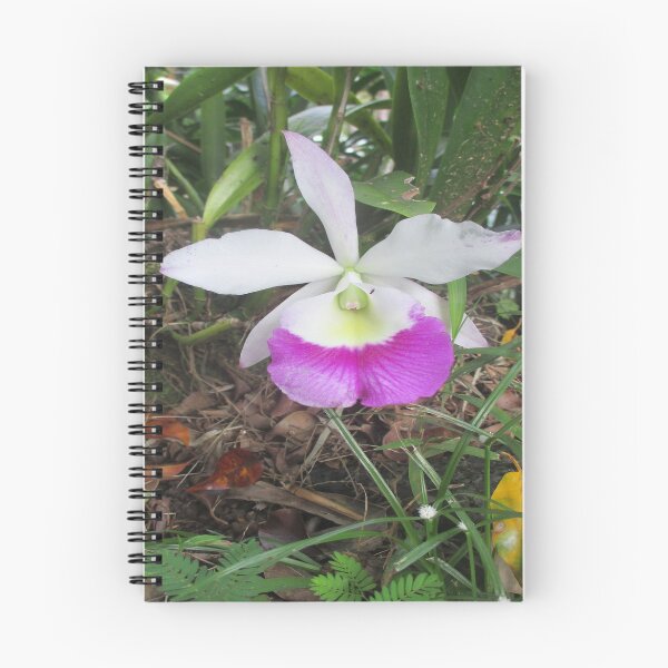 Item preview, Hawaii Flowers #2 designed and sold by LifExtroardinar.