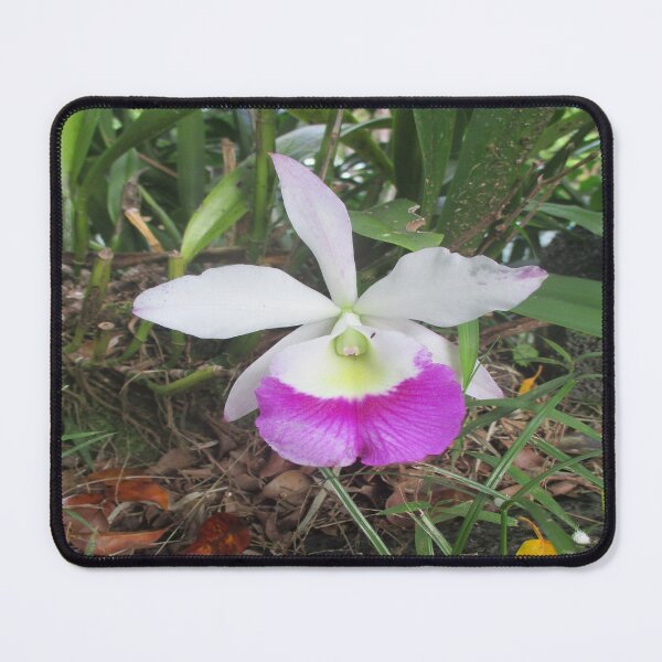 Item preview, Hawaii Flowers #2 designed and sold by LifExtroardinar.