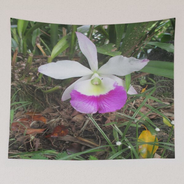 Item preview, Hawaii Flowers #2 designed and sold by LifExtroardinar.