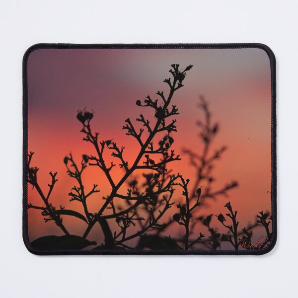 Item preview, Before Sunrise (3) designed and sold by Wolf Sverak Photography.