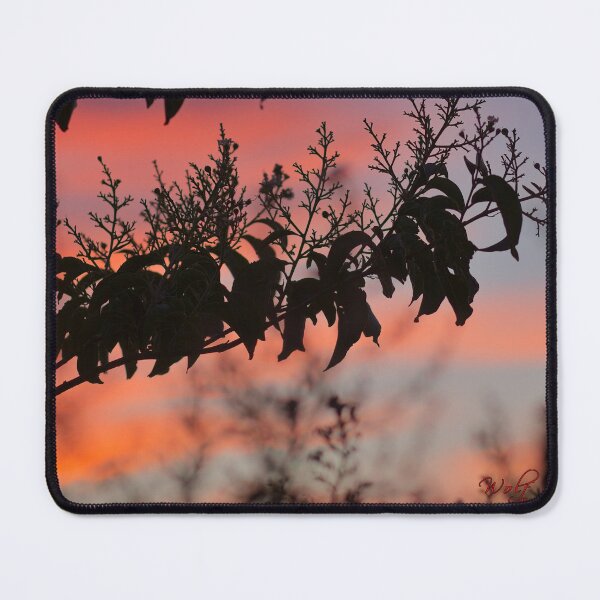 Item preview, Before Sunrise (2) designed and sold by Wolf Sverak Photography.