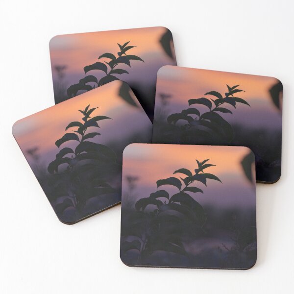 Item preview, Before Sunrise (1) designed and sold by Wolf Sverak Photography.