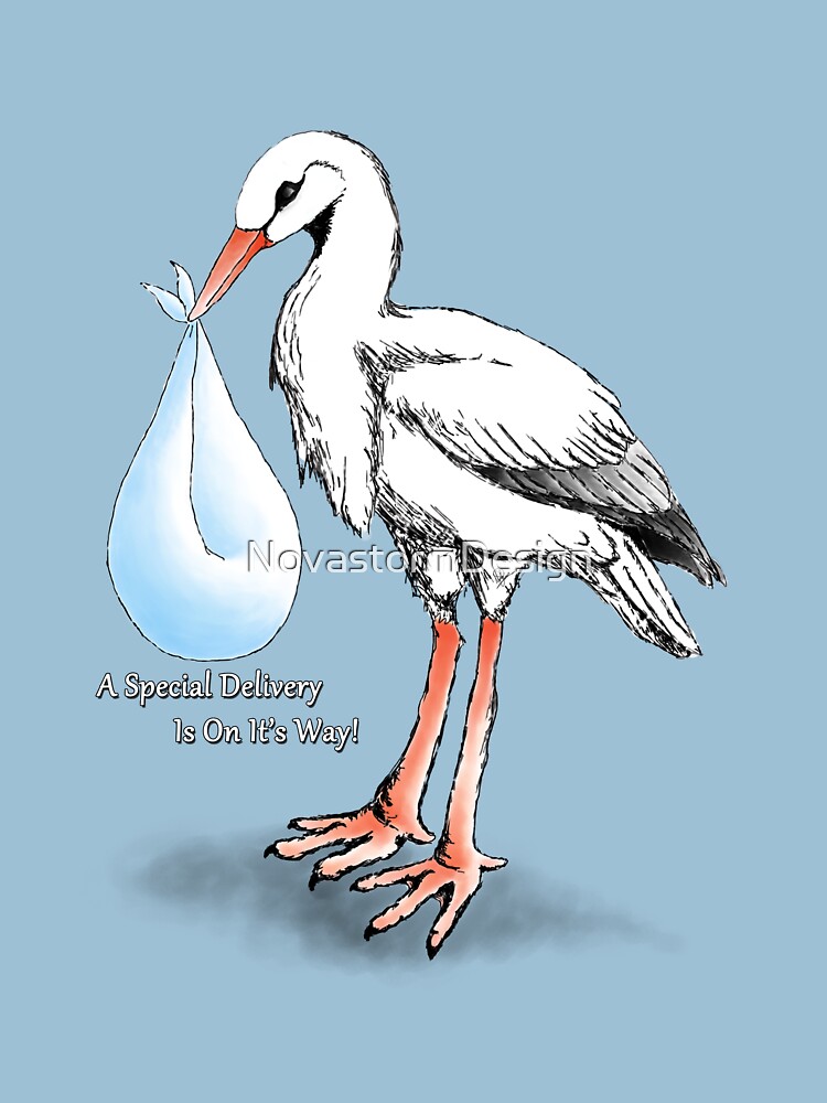 "Stork Special Delivery (Boy)" Tshirt by NovastormDesign Redbubble