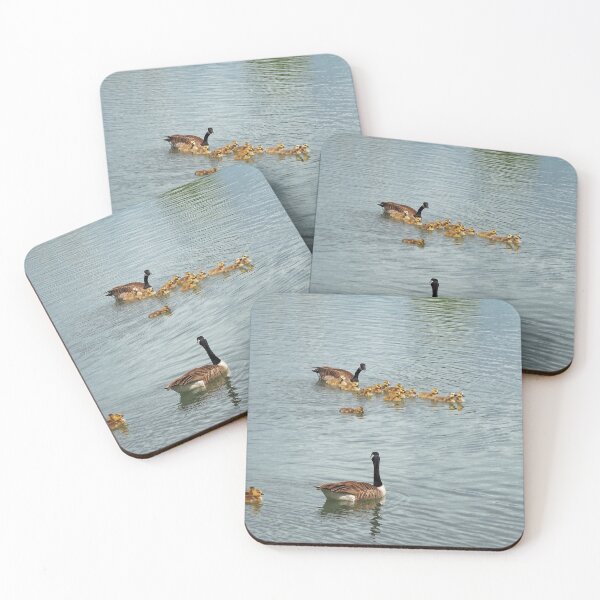 Item preview, Canada Goose Parents Swimming With Families of Goslings designed and sold by BackyardBirder.