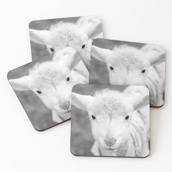 Item preview, Cabrito blanco y negro - Cabritos de Aria designed and sold by AmberRoseWrites.
