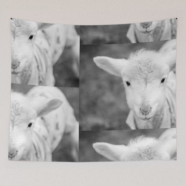 Item preview, Cabrito blanco y negro - Cabritos de Aria designed and sold by AmberRoseWrites.
