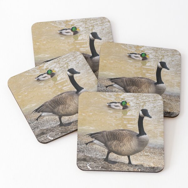 Item preview, Canada Goose and Mallard Duck At The Beach designed and sold by BackyardBirder.