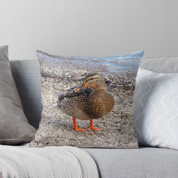 Item preview, Female Mallard Duck On a Beach designed and sold by BackyardBirder.