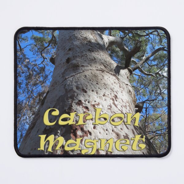 Item preview, Tall Angophora costata - Carbon Magnet Theme designed and sold by Arcane Botanica.