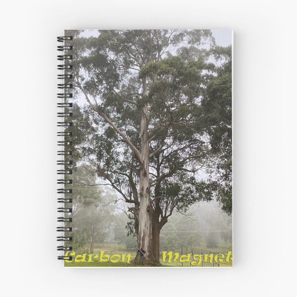 Item preview, Tall Eucalyptus cypellocarpa (Monkey Gum) designed and sold by Arcane Botanica.