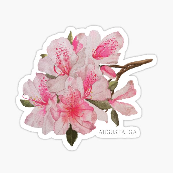 Item preview, Augusta, GA Azaleas  designed and sold by Rachel-Lewis.