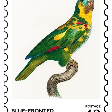 Artwork thumbnail, Blue-fronted amazon stamp by RabbitK