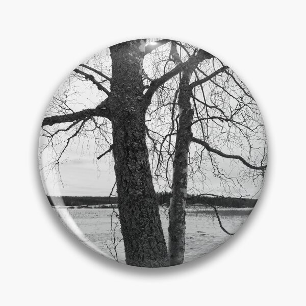 Item preview, Birches by the lake 4. Kulovesi  Winter 2024 bw designed and sold by Jouko Lehto Photography.