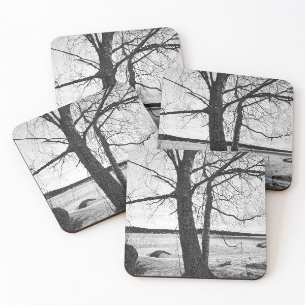 Item preview, Birches by the lake 4. Kulovesi  Winter 2024 bw designed and sold by Jouko Lehto Photography.