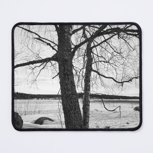 Item preview, Birches by the lake 4. Kulovesi  Winter 2024 bw designed and sold by Jouko Lehto Photography.