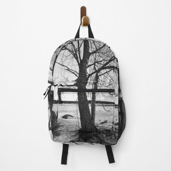 Item preview, Birches by the lake 4. Kulovesi  Winter 2024 bw designed and sold by Jouko Lehto Photography.