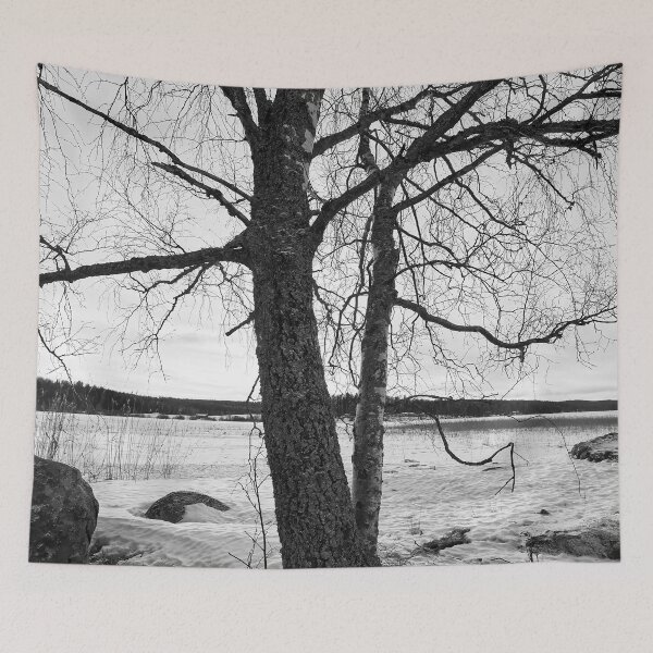Item preview, Birches by the lake 4. Kulovesi  Winter 2024 bw designed and sold by Jouko Lehto Photography.