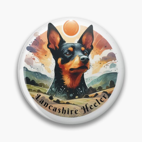 Item preview, Lancashire Heeler designed and sold by Azrora.