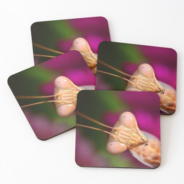 Item preview, Mantis (MKW-I.31) designed and sold by Katrina Morgan.