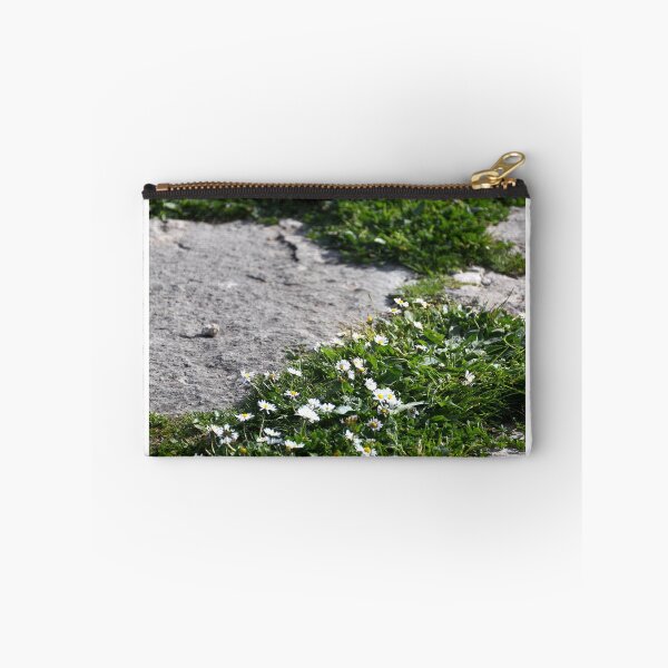 Item preview, Small white daisies growing between stones on a path. designed and sold by EAnneH.