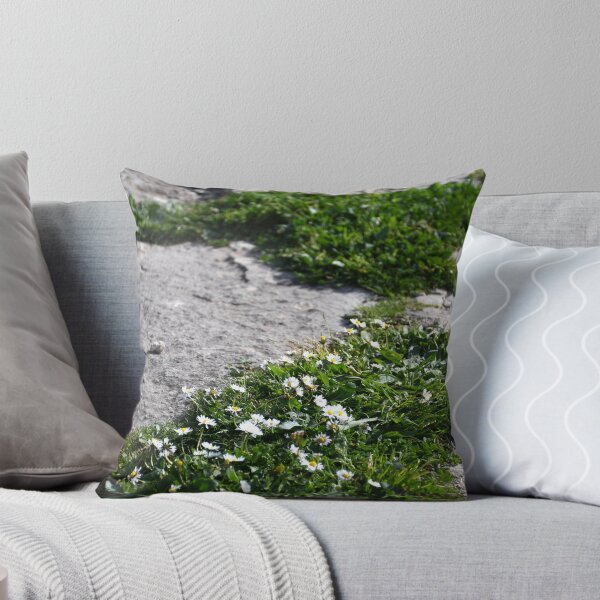 Item preview, Small white daisies growing between stones on a path. designed and sold by EAnneH.