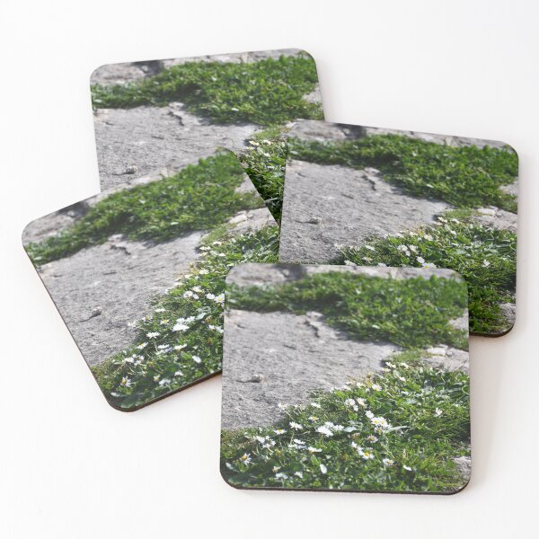 Item preview, Small white daisies growing between stones on a path. designed and sold by EAnneH.