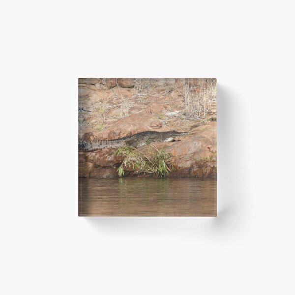 Item preview, A crocodile sunning on a rock. designed and sold by EAnneH.