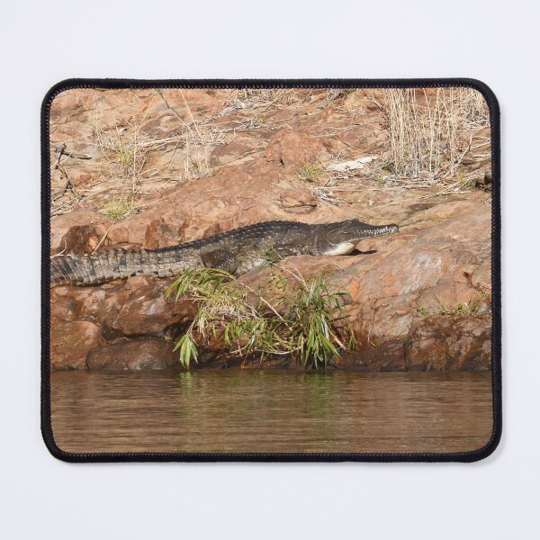 Item preview, A crocodile sunning on a rock. designed and sold by EAnneH.