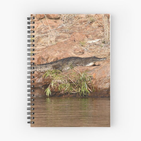 Item preview, A crocodile sunning on a rock. designed and sold by EAnneH.