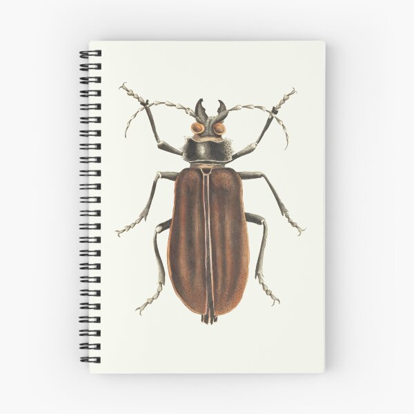 Item preview, Vintage Cerambyx Brown Beetle designed and sold by Piccolo Fiore Prints.