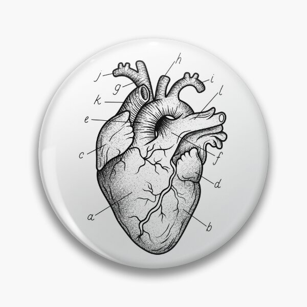 Item preview, Anatomical Heart Illustration designed and sold by Idle Morrow.