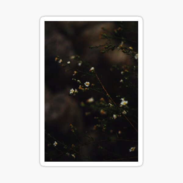 Moody Flowers Sticker
