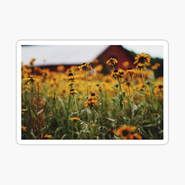 Barn Flowers Sticker