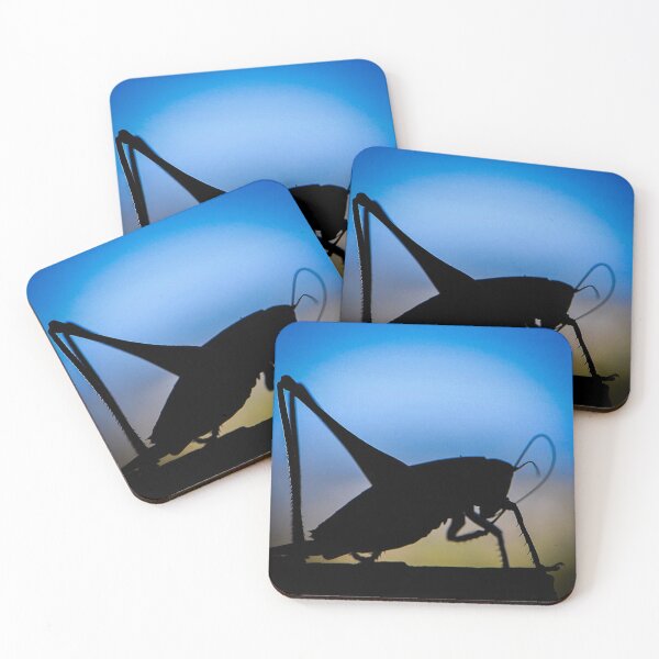 Item preview, Insect (MKW-I.29) designed and sold by Katrina Morgan.