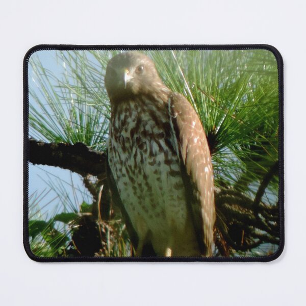 Item preview, The hawk designed and sold by Jmb67.
