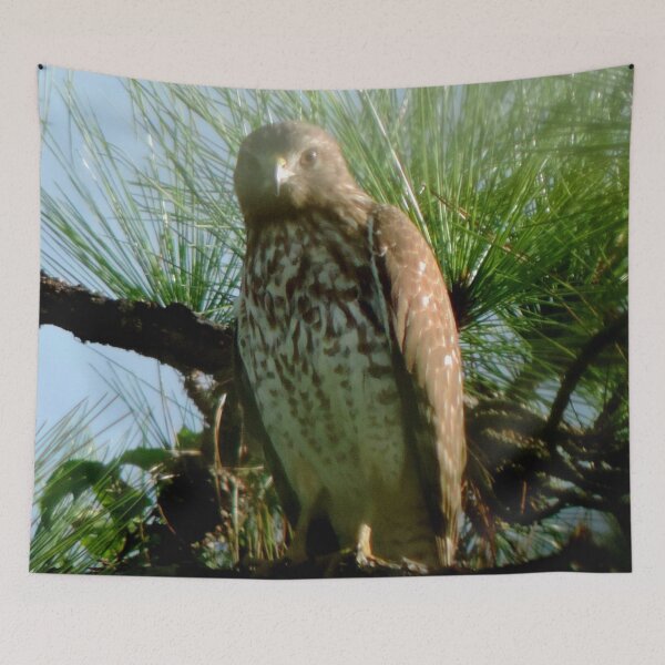 Item preview, The hawk designed and sold by Jmb67.