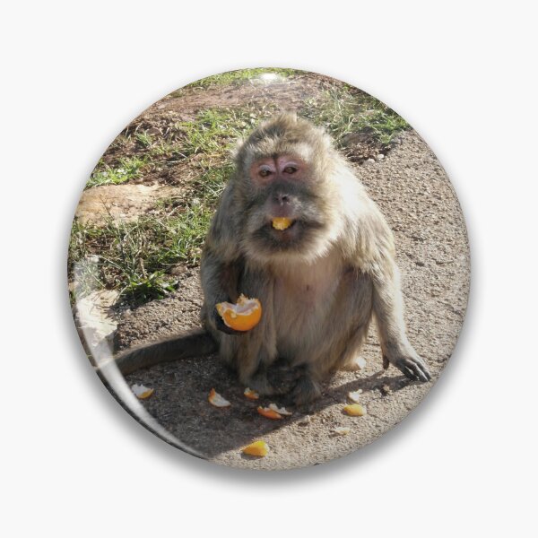 Item preview, Playful Monkey Enjoying a Juicy Orange designed and sold by EpicVistas.