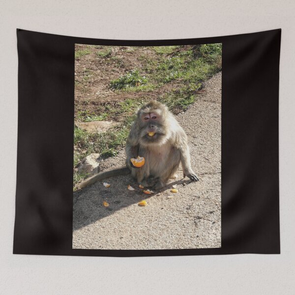Item preview, Playful Monkey Enjoying a Juicy Orange designed and sold by EpicVistas.