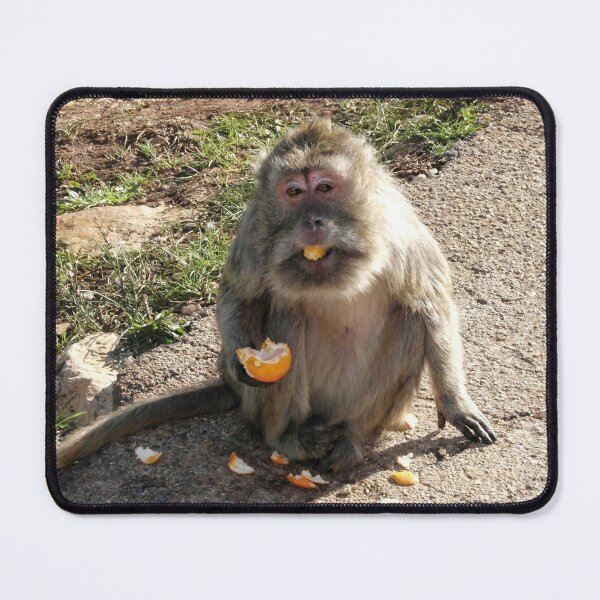 Item preview, Playful Monkey Enjoying a Juicy Orange designed and sold by EpicVistas.