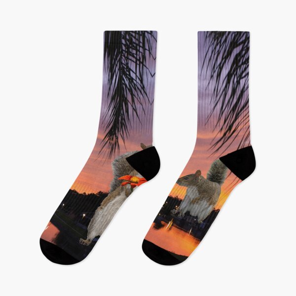 Artikelvorschau, Eichhörnchen bei Sonnenuntergang durch die Palmensilhouette entworfen und verkauft von Zina Stromberg.