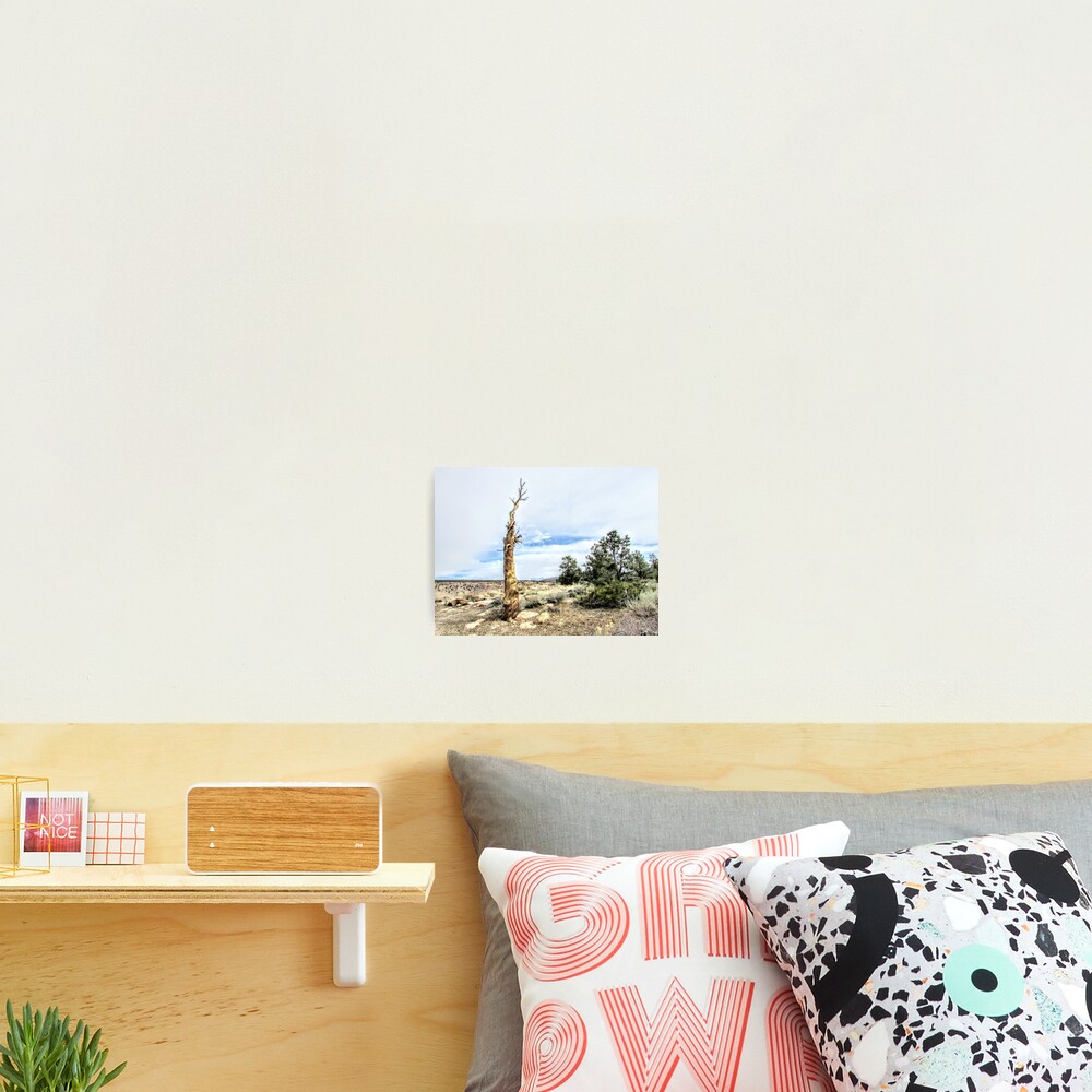 Item preview, Photographic Print designed and sold by geteup.