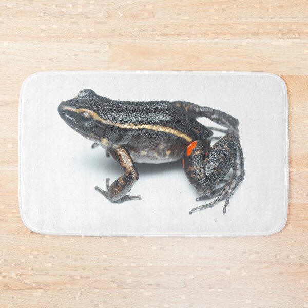 Item preview, Painted Antnest Frog (Lithodytes lineatus) designed and sold by vincentpremel.