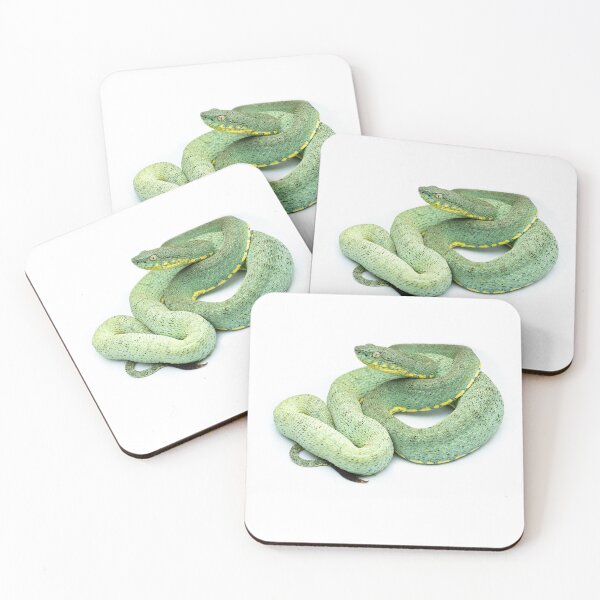 Item preview, Two-lined Forest-Pitviper (Bothrops bilineatus) designed and sold by vincentpremel.