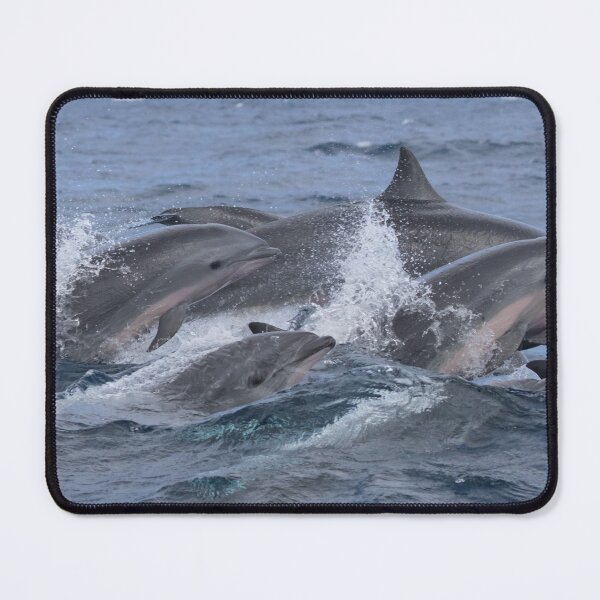 Item preview, Fraser's Dolphins designed and sold by LaurenTucker.