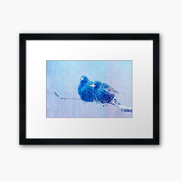 Item preview, Starlings digital watercolor  designed and sold by Shauna Kenworthy.