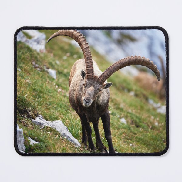 Item preview, "Hello there" designed and sold by Andreas Koerner.