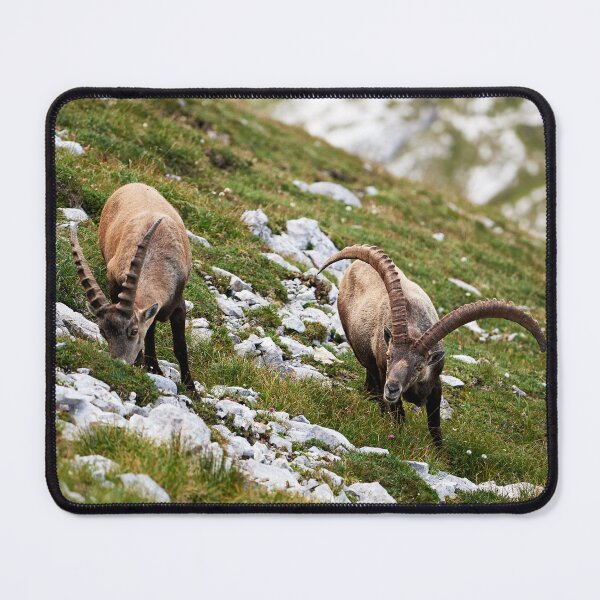 Item preview, "Old & young" designed and sold by Andreas Koerner.