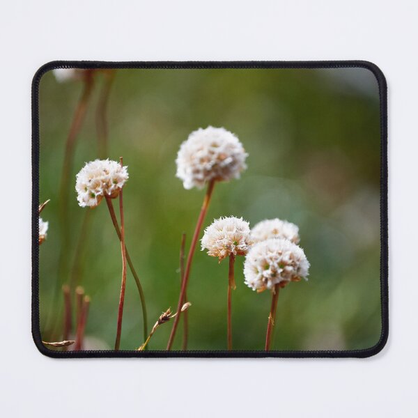 Item preview, "Little beauty" designed and sold by Andreas Koerner.